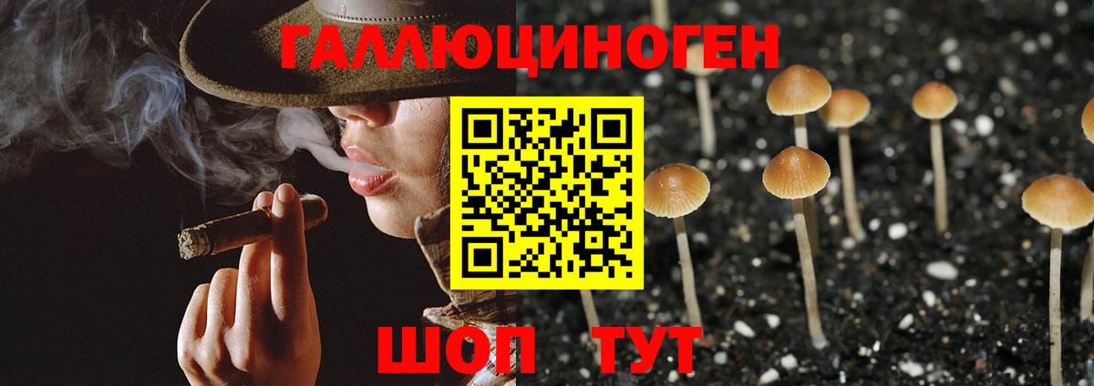 Галлюциногенные грибы ЛСД  Вход с VPN  Кингисепп 